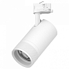 Светильник на штанге Lightstar Canno Pro C4406QT 100_100_3087629